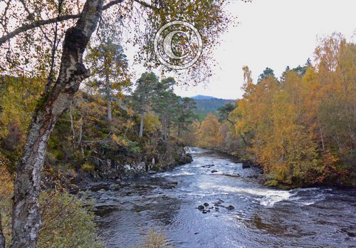 Glen Affric Scotland DM2118